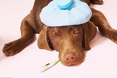 《最终幻想7核心危机：重聚》12月份发售 登陆全平台